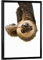 artboxONE Poster mit schwarzem Rahmen 18x13 cm Tiere Little Cute Sloth - Bild Animal Sloth