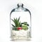 GOSOYO Terrarium Glass Jar with Lid for Plants, Premium Glass Food Container, Biscuit Tin, Cookie Jar (X Large)