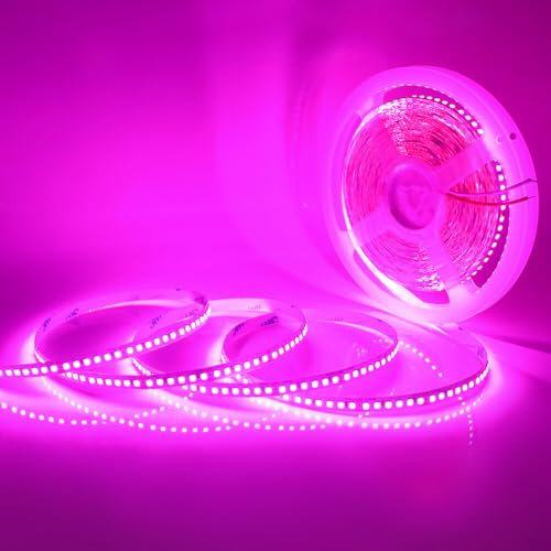 HEGEHE 24V Striscia LED [10m, rosa], 180 LED/m SMD2835 Striscia LED flessibile ad alta luminosità CRI85+, decorazione interna per feste, compleanni e Natale (adattatore non incluso)