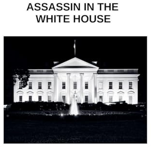 Assassin in The White House