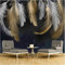 Vliestapete Tapete Goldene Weiße Feder 3D Fototapeten Wandbild Motivtapeten Vlies-Tapeten Wandtapete Tapete Wohnzimmer Schlafzimmer Wallpaper Wandbild 300cmx210cm