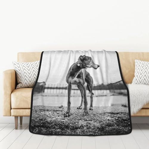 GRatka Decke, 127 x 152 cm, doppelseitige Decke, Reisedecke, weiche Decke für Schlafsofa,Windhund