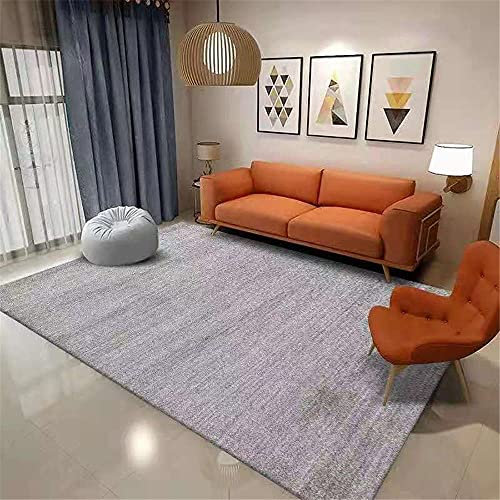 joop Teppich Grau Salon Teppich Grau Unschärfe Einfache Muster mit langlebiger Teppichwasserwäsche Teppich für esszimmer 140X200CM Teppich kinderzimmer 4ft 7.1''X6ft 6.7''