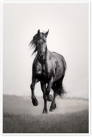 Friese in der Steppe Poster von Monika Leirich 40 x 60 cm Schwarz-Weiß Wandbilder Wanddeko