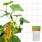 UICCVOKK Filet de jardin blanc pour pois, filet à mailles fines pour jardin, moustiquaire anti-oiseaux, papillon, filet de treillis en polyester pour grimpeur, légumes, fleurs, fruits (5 x 1,6 m)