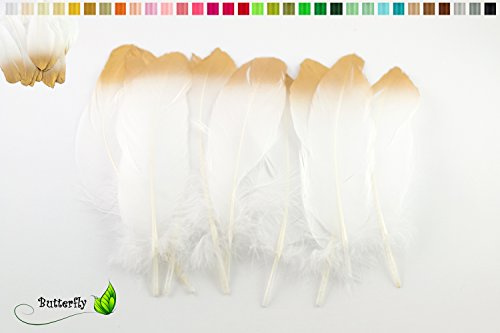 10 Gänsefedern 15-20cm (weiß/gold 029/687) // Echte Federn Bastelfedern Schmuckfedern Dekofedern Vogelfedern Dekofedern