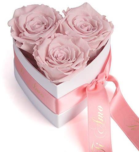 ROSEMARIE SCHULZ Heidelberg Infinity Rosenbox Herz - 10x12cm 3 konservierte Rosen haltbar 3 Jahre Frauen - Beste Freundin Geschenke (Ti Amo, Rosa)