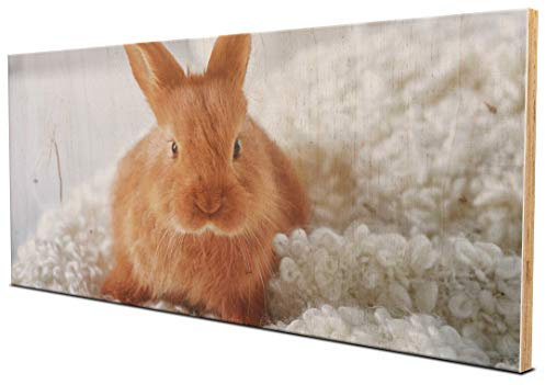 wandmotiv24 Holz-Wandbild - Foto auf Holzplatte mit Online-Vorschau - personalisierte Wanddeko - Holzbild mit Wunschmotiv - Fotogeschenk - 40x20 cm