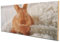 wandmotiv24 Peinture Murale en Bois - Photo sur Panneau de Bois avec aperçu en Ligne - décoration Murale personnalisée - Tableau en Bois avec Motif souhaité - Cadeau Photo - 40x20 cm