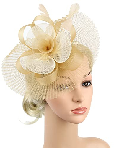 Chapeau Bibis Femme Elégantes Fascinator Chapeau Nuptiale en Maille Plumes Épingles à Cheveux Accessoires Coiffure Mariage Voilette Serre-tête pour Cocktail Mariage Photographe Fête