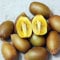 2 piante Actinidia deliciosa golden giallo 160 cm autofertile