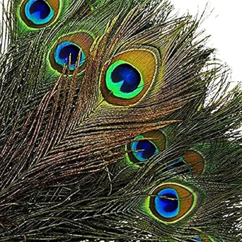 Natürliche Pfauenfedern mit Pfauenschwanzfedern für die Augen, zum Basteln, Dekoration für Hochzeitsfeiern (12, 25 – 30 cm)