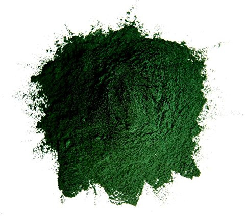 Lunderland - Sonnen Chlorella 100g | 100 % Chlorella vulgaris, gemahlen, Einzelfuttermittel ohne Zusätze