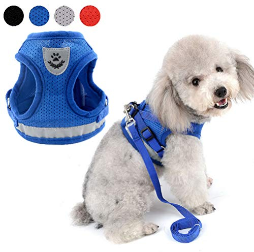 Zunea No Pull Dog Harness for Small Dog, Reflective Breathable Soft Mesh Padded Step-in Vest Harness Leash Set, Adjustable Puppy Boy Dog Cat Lead for Daily Walking Running Training - (Blue, S)