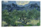 RFME Die Olivenbäume – von Vincent Van Gogh Malerei Kunstposter Druck Foto Kunst Gemälde Leinwand Poster Home Modern Decor Poster 50 x 75 cm