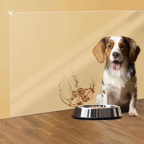 Loiion Wall Protector Self Adhesive, Clear Sticky Back Plastic, Kitchen Splash Furniture Stickers, Plastic Wall Protector from Dogs, Bins, Mops, Sinks, 1000cm