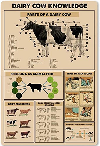 Letreros de metal de conocimiento de vaca lechera, piezas vintage de una vaca lechera, cartel de pastores, placas de guía, decoración de pared para el hogar, 12.0 x 16.0 in
