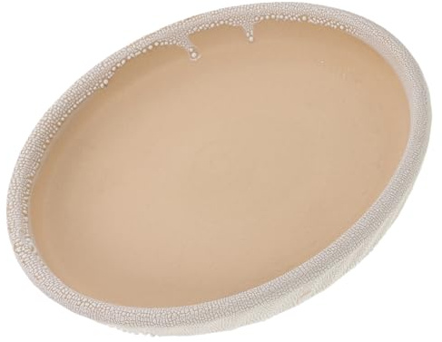 LAPYAPPE Ceramic Plant Saucer for Flower Pots Stable Base and Universal Fit, 7.86 Inch Porcelain Drip Tray for Indoor Plants and Home Decor, Elegant White Planter Plate
