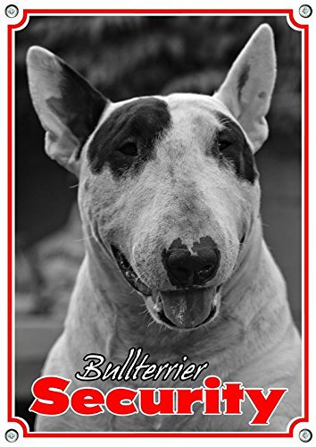 Petsigns Hundeschild Bullterrier - Security Schild - Warnschild aus Stabiler Metallplatte, DIN A3