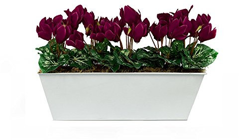 GreenBrokers Limited Artificiale Viola Ciclamino Window Box, Bianco Metallo fioriera Contenitore 45 cm