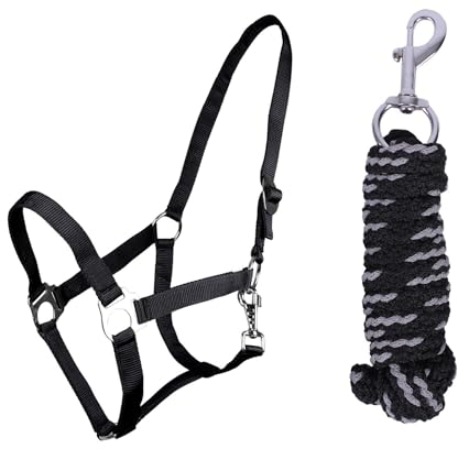 ARBO-INOX Halfter-Set Beginner de lux - Halfter + Führstrick - graue Akzente - verstellbar (Pony, SCHWARZ)
