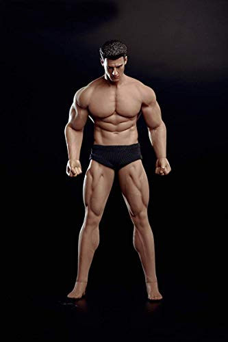 ZSMD TBLeague 6 Male Seamless Action Figures Full Set Silicone Body+Head+Underwear 1/12 Scale Super Flexible Male Dolls for Arts Drawings Photography