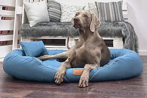 tierlando® Orthopädisches Hundebett Tiffany Couture | Große Hunde XL XXL | Elegant | Waschbar Memory Foam | Meliertes Hundesofa XL | Jeans Blau