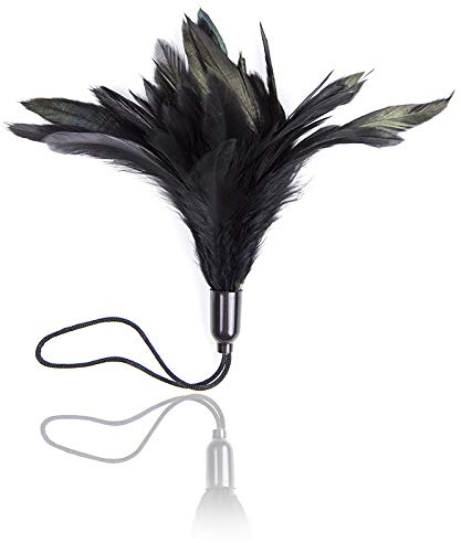Paddlesilks bâton de plumes pour cadeau d'amant