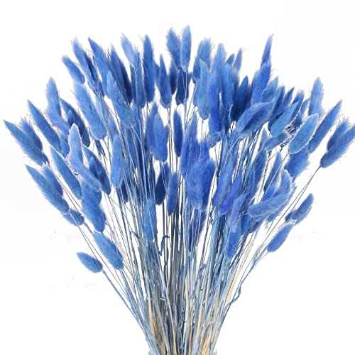 HUAESIN 120 Pcs Fleurs Séchées Naturelles Herbe De Pampa Fleurs Séchées Petite Séchée Herbe De Pampa Petite Herbe De Roseau pour Mariage Maison Fête Mariage Bureau Photographie Vase Décoration Bleu