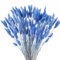 HUAESIN 120 Pcs Natürliche Trockenblumen Pampasgras Getrocknet Blumen Klein Getrocknetes Pampas Gras Pampasgras Klein Schilfgras für Hochzeit Hause Party Wedding Büro Fotografie Vase Deko Blau