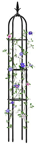 Rankhilfe Obelisk - Kletterhilfe für Pflanzen, Rosen und Reben - Rostschutz - Top Kronen-Kunstdesign - Passend für Innen- und Außenbereich (Size : 31cm Dia. x160cm H)