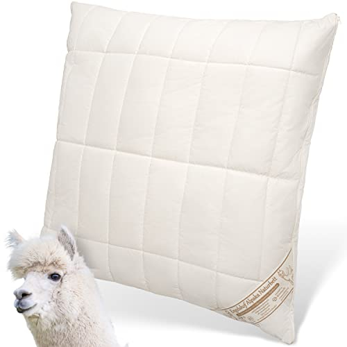 Engelshof Alpaka Kopfkissen 80x80cm mit Alpakavlies gefüllt - Alpakakissen versteppt mit 100% Alpakawolle - Bezug aus naturbelassener Baumwolle