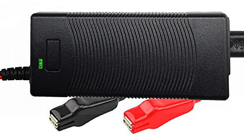 12V 3A LiFePO4 Battery Charger, Smart 14.6V Chargers for 12.8V Lithium Iron Phosphate Rechargeable Batteries