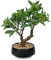Planta artificial bonsái árbol en maceta de cerámica artificial árbol bonsái real decoración plantas de interior artificiales en macetas para salón, dormitorio, baño, alféizar de ventana decoración