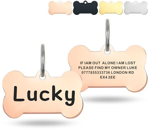 Deep Engraved Dog Tags for Pets UK Prime, Personalised Cat Dog Name ID Tags, Stainless Steel Pet Tag for Doggy Kitten Kitty Puppy, Scratch Resistant Tag (Champagne Gold Bone, L)