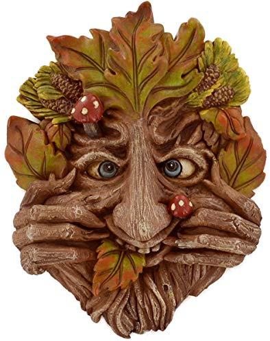 Fiesta Studios Cheeky Mouth Treant Face Wall Plaque Garden Greenman Decorative Gift Decor. 17cm