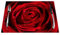 Tischsets mit roten Rosen, 4 Stück, rote Rose, Wassertropfen, hitzebeständig, für Esstisch, rutschfest, 45,7 x 30,5 cm