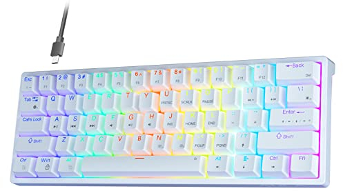 AULA F3261Mechanische Tastatur Gaming,Gaming Tastatur 60 Prozent Tastatur Kabel Gaming Tastatur Klein,RGB PC Tastatur für Computer/Tablet/PS/Xbox,QWERTY,Roten Schaltern