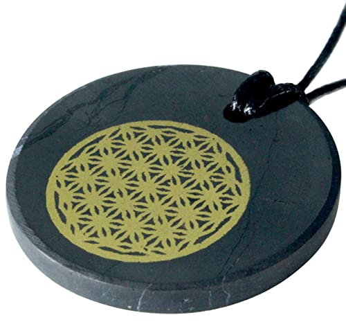 Heka Naturals Shungit Kristall Halskette Anhänger | Heilkristalle & Chakra Halskette - Edelsteinschmuck für Männer & Frauen - Spirituelle und freudige Geschenke (Blume des Lebens)