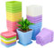 KINGLAKE 24 macetas de plástico Grueso de 6 Colores, 7 x 8 cm, Maceta pequeña para Interior con paletas para Plantas suculentas pequeñas en macetas