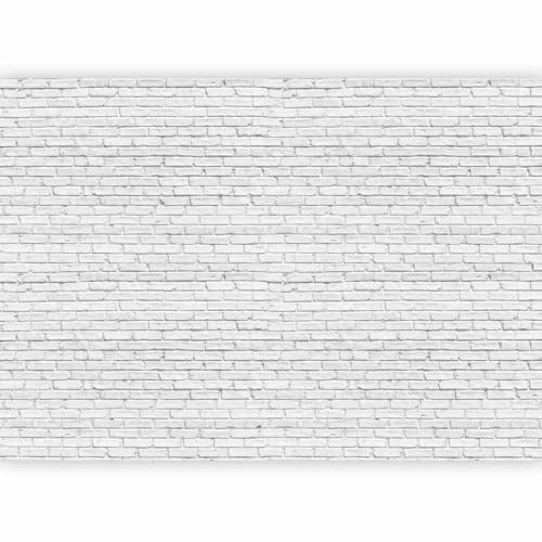 murando PREMIUM Papier peint Brique Pierre 400x280 cm Décoration Murale XXL Poster Tableaux Muraux Tapisserie Photo Trompe l'oeil blanc Wall Textur f-B-0308-a-a