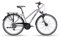 HEAD Damen Revelo 1.0 Joy Trekkingbike, Matt Grey/Red, 54