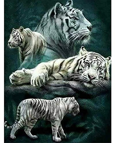 Puzzle 5000 Teile - Jigsaw Puzzle für Erwachsene - Buntes Puzzle 5000 Teile Erwachsene, Motiv:Verschiedene Bewegungen des weißen Tigers, 5000 Teile Puzzle, Puzzle Erwachsene 5000 Teile, Puzzel,5000 P