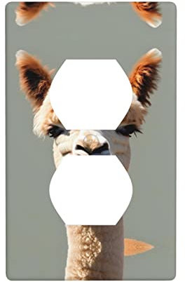 Duplex-Steckdose, dekorative Wandplatte, elektrische Steckdose, Lichtschalter, hochwertige Frontplatte, Schalterplatte für Heimdekoration, 11,4 x 7 cm, Alpaka-Avatar-Bild