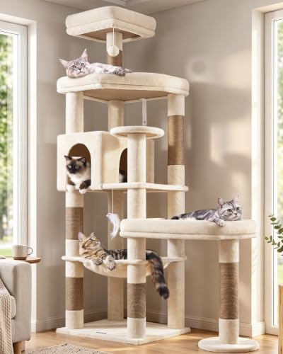 Globlazer S65 Arbre a Chat Beige Stable pour 2/3/4 Chats Maine Coon 165 cm | Arbre à Chat avec Soutien avec 2 Grandes Plateforme, Extrlarge Hamac, Niche, Robuste et Sûr, pour Grand Chats Adult Intérieur