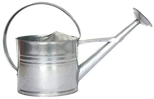 Esschert Design Regadera de Zinc, Mediano, Gris