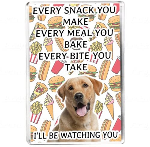 Every Snack You Make - Labrador - Funny Pet Owner Quote - Dog Mum/Dad - Fridge Magnet - Novelty Gift