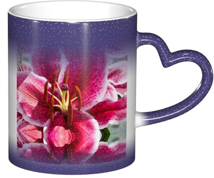 DEXNEL Tasse à café en céramique avec fleur de lys - 325 ml - Motif ciel étoilé - Cadeau de vacances unique