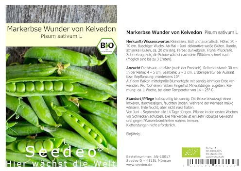 Seedeo® Markerbse Wunder von Kelvedon (Pisum sativum L) ca.100 Samen BIO