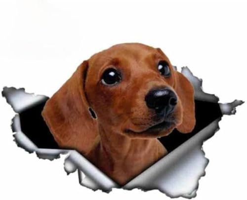 2-teilig Autoaufkleber 20 Cm (7,87 Zoll) Interessante Grafiken D Tan Dackel Autoaufkleber Zerrissenes Metall Aufkleber Reflektierende Aufkleber Wasserdicht Auto Haustier Hund Aufkleber (D1N5949N)